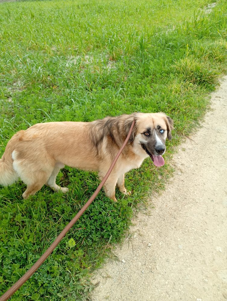 A countryside walk